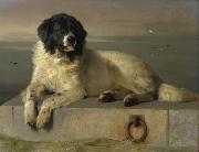 Sir edwin henry landseer,R.A. A Distinguished Member of the Humane Society oil painting on canvas